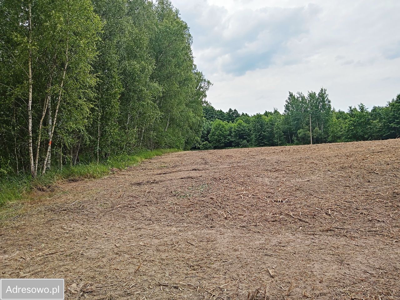 Działka rolna Płock Budy Dolne, ul. Jordanowska. Zdjęcie 6