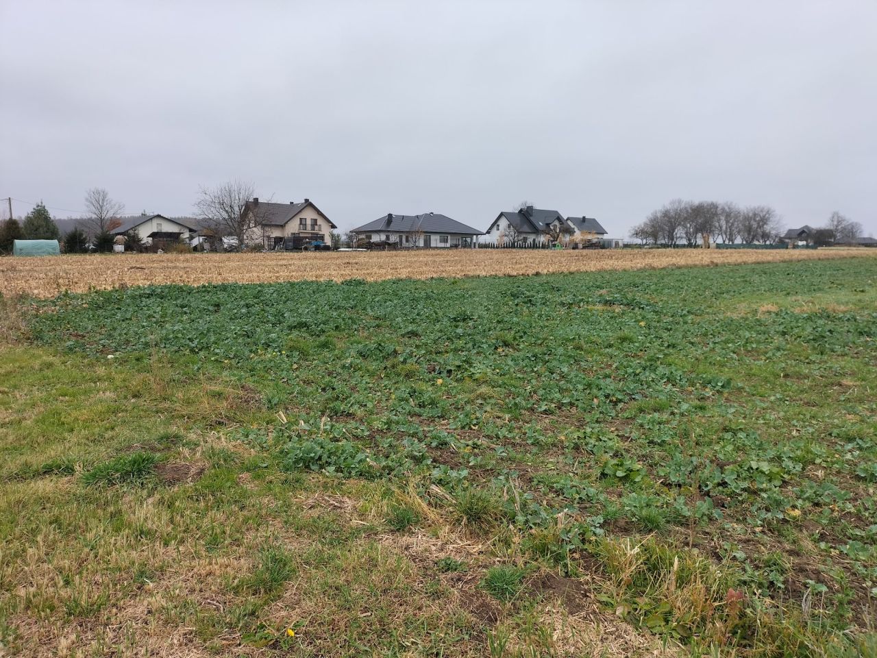 Działka budowlana Morawsko. Zdjęcie 4