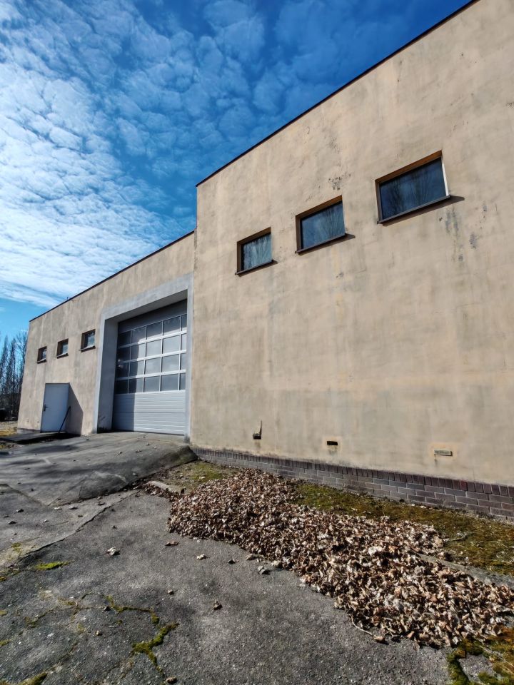 Hala/magazyn Rogoźno, ul. Rolna. Zdjęcie 9