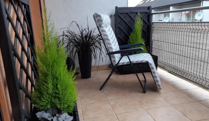 Mieszkanie 4-pokojowe Plewiska, ul. Bazyliowa