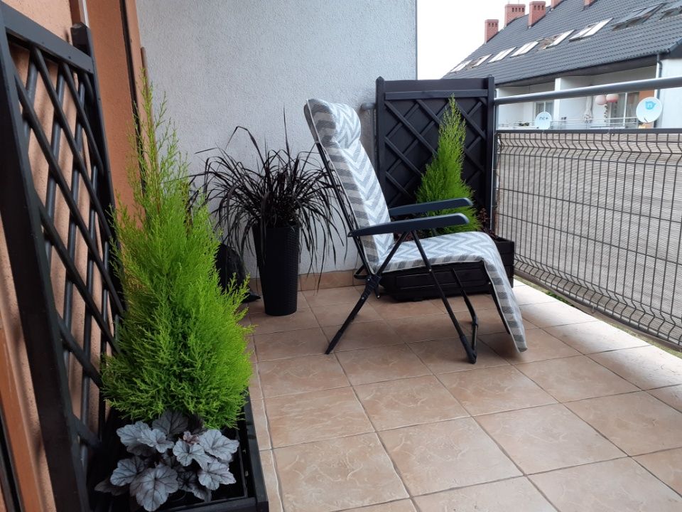 Mieszkanie 4-pokojowe Plewiska, ul. Bazyliowa. Zdjęcie 1