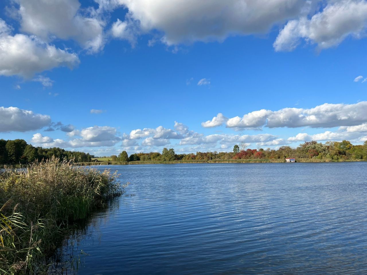 Działka budowlana Górzna. Zdjęcie 6