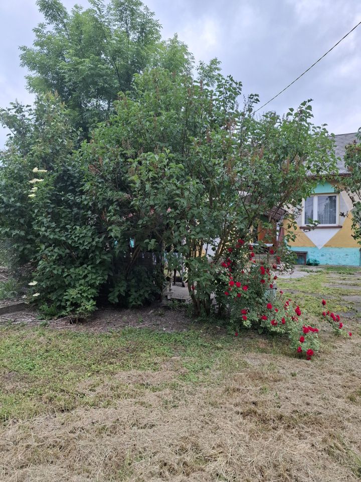 dom wolnostojący, 3 pokoje Myszków Mrzygłódka, ul. Palmowa. Zdjęcie 34