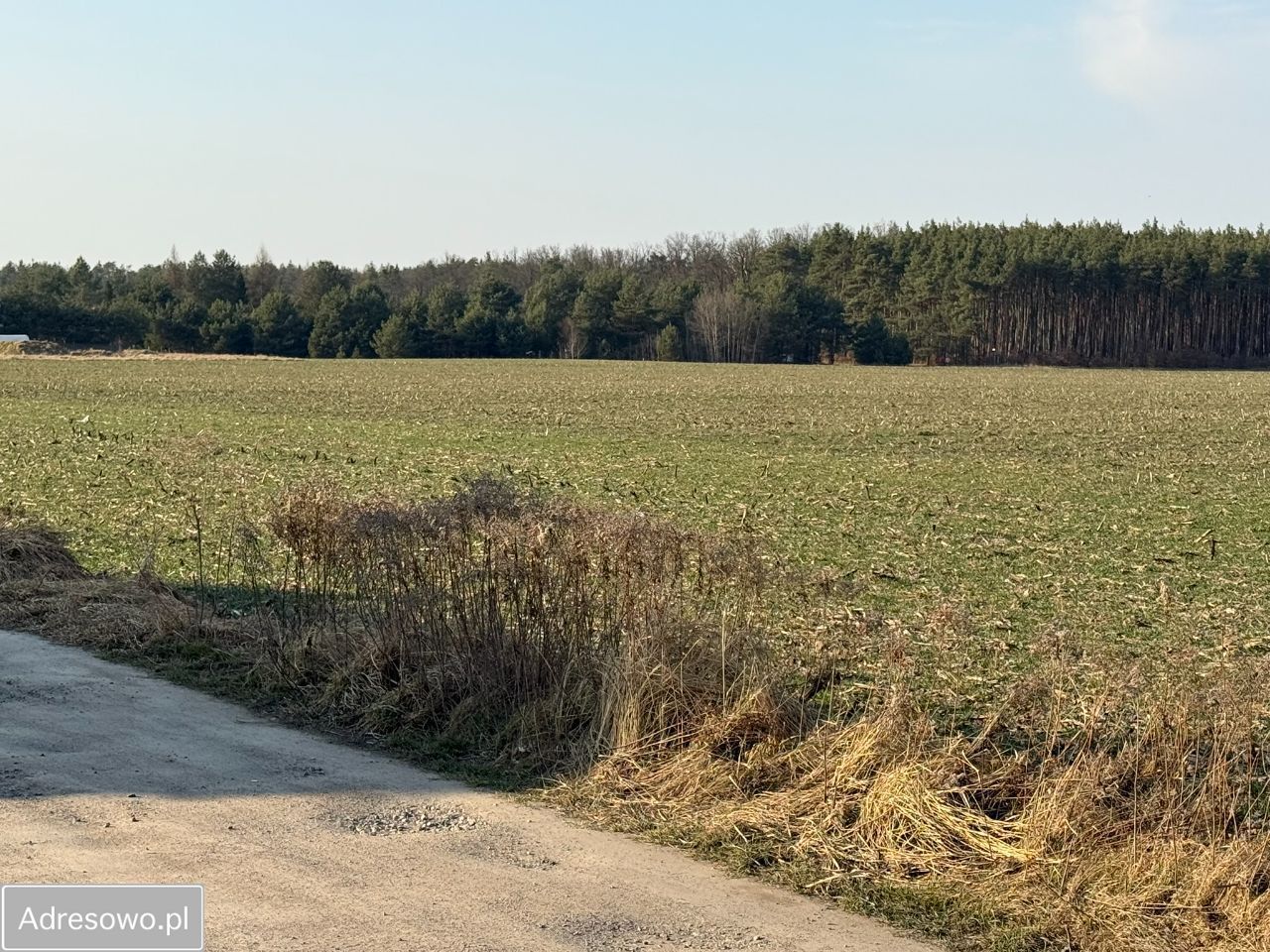 Działka budowlana Bystrzyca, ul. Jagodowa. Zdjęcie 2