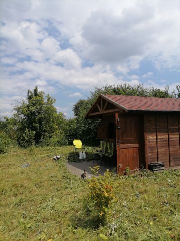 Działka rod Wrocław Psie Pole, ul. Bierutowska. Zdjęcie 1