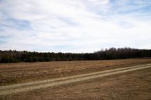 dom wolnostojący Lipiny