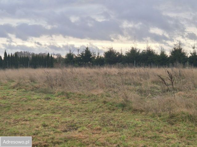 Działka budowlana Charzyno. Zdjęcie 1
