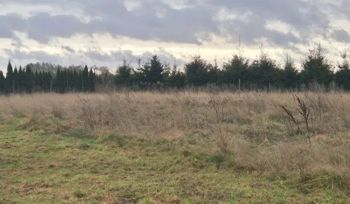 Działka budowlana Charzyno