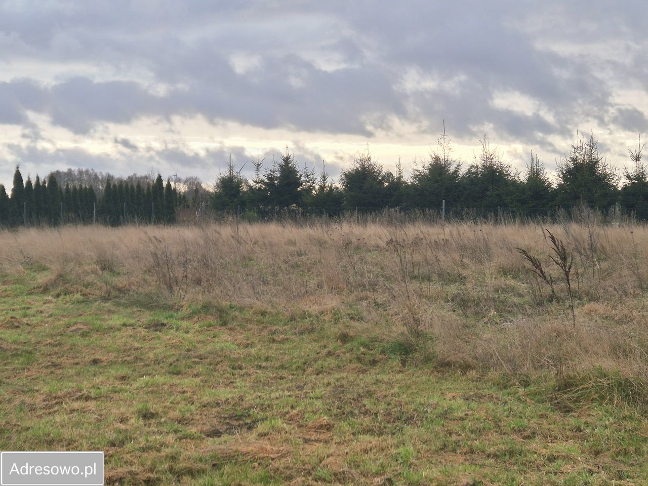 Działka budowlana Charzyno. Zdjęcie 1