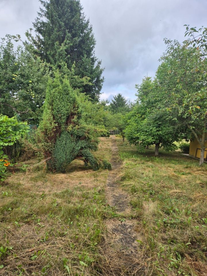 Działka rod Dzierżoniów, ul. Relaksowa. Zdjęcie 7