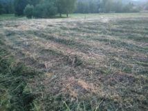 Działka budowlana Wysowa-Zdrój. Zdjęcie 2