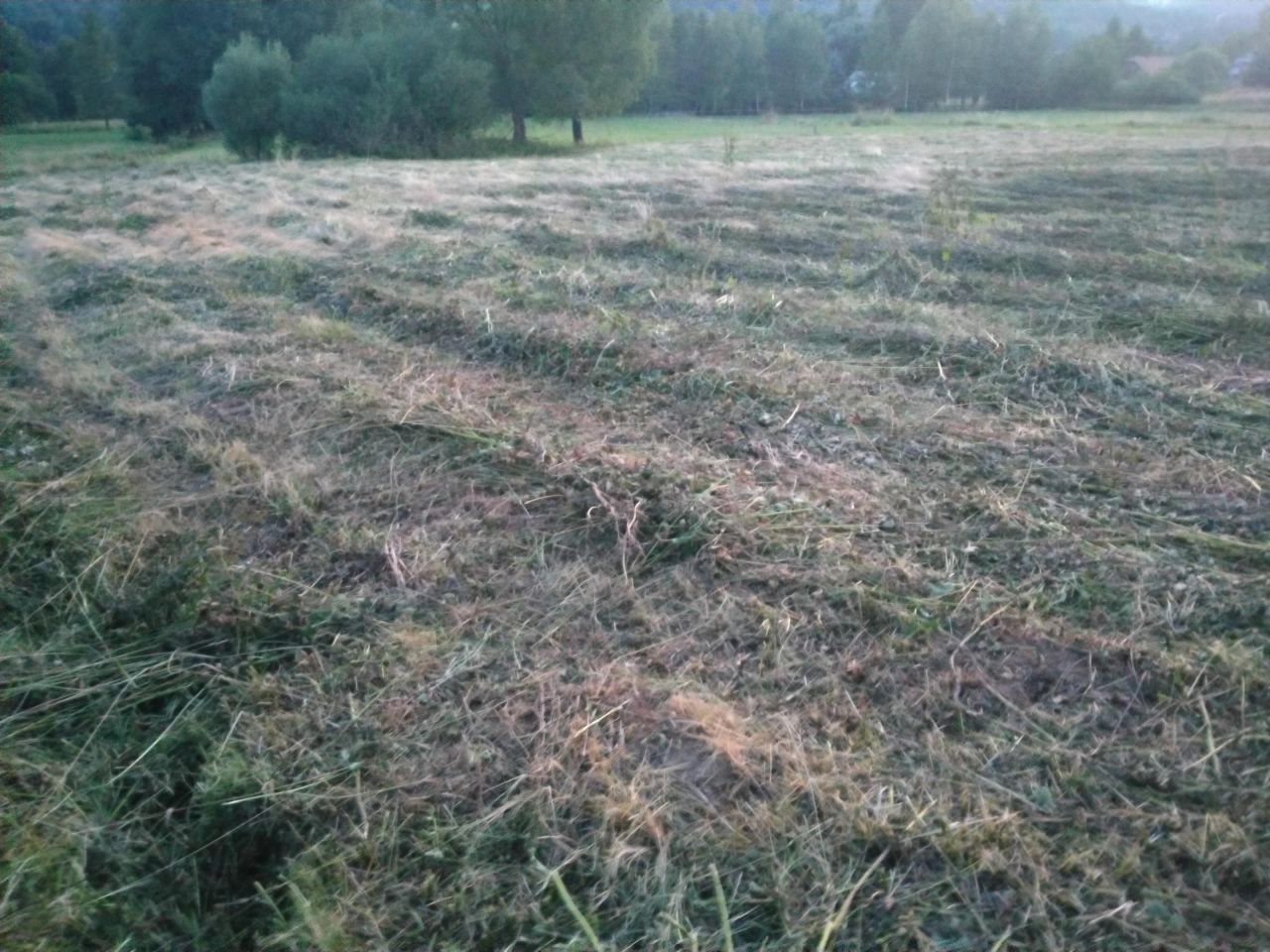 Działka budowlana Wysowa-Zdrój. Zdjęcie 3