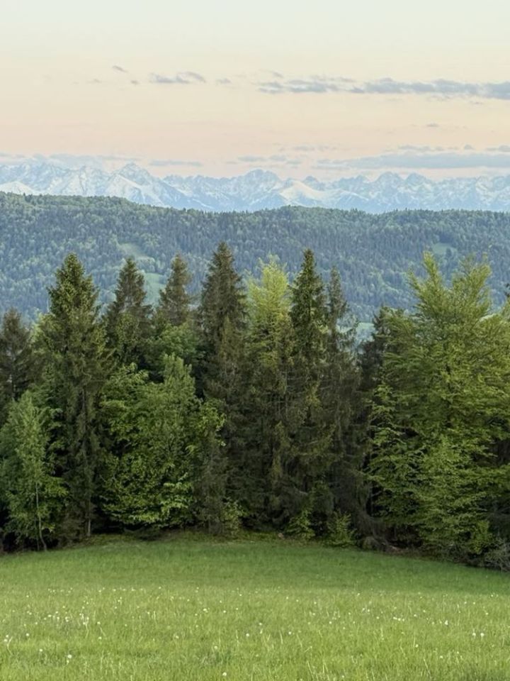 Działka rolna Ochotnica Górna. Zdjęcie 8