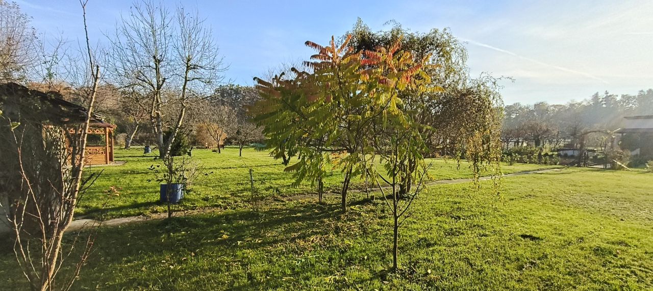 Działka rod Malbork, ul. Sportowa. Zdjęcie 6