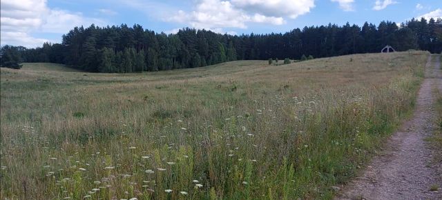 Działka rolna Unieszewo, Ul. Kormorana. Zdjęcie 1