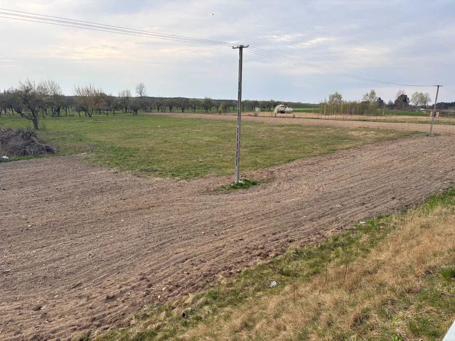 Działka rolno-budowlana Stare Siekluki. Zdjęcie 1
