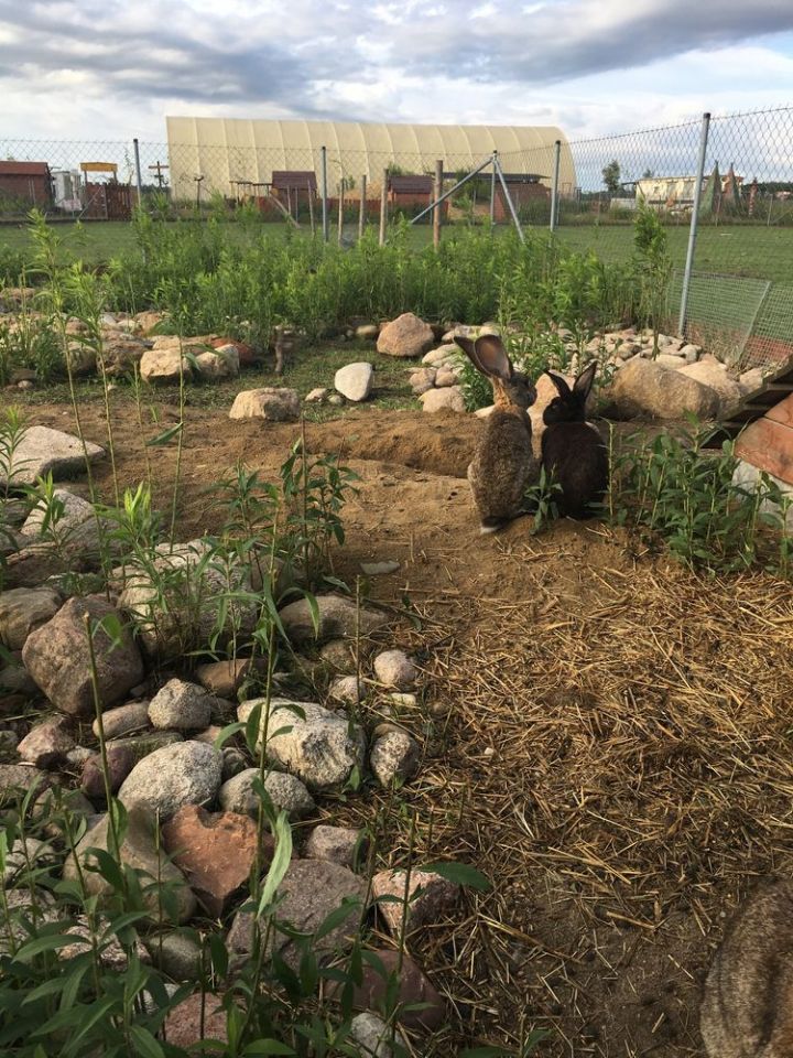 Działka budowlana Miłocice Małe. Zdjęcie 2