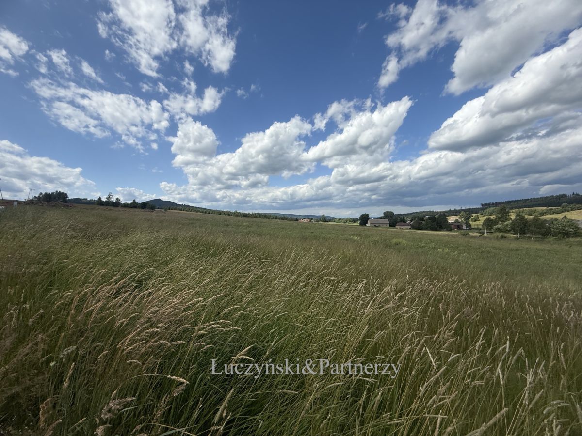 Działka inwestycyjna Olszyny. Zdjęcie 5