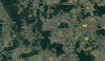 Działka leśna Popielina, las