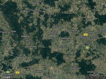 Działka leśna Popielina, las