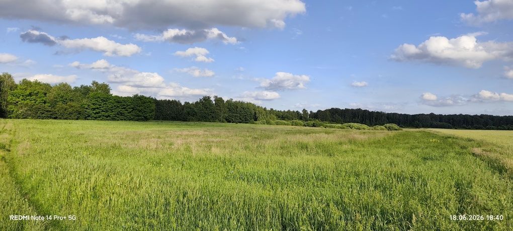 Działka rolna Rudki. Zdjęcie 1