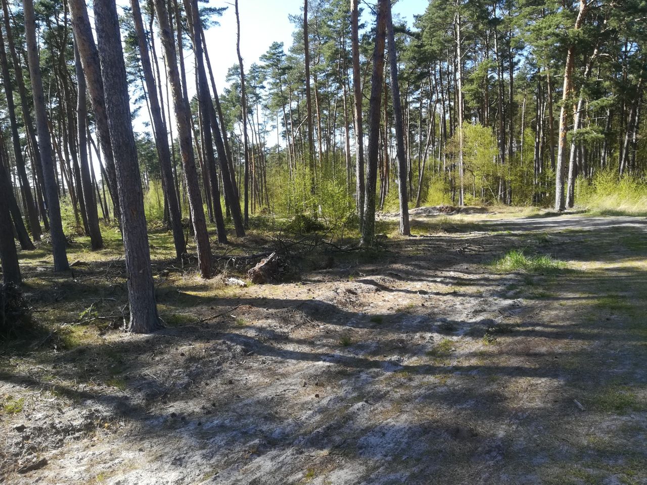 Działka budowlana Dziwnów, ul. Daglezji. Zdjęcie 20