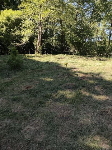 Działka rekreacyjna Bolejny. Zdjęcie 17