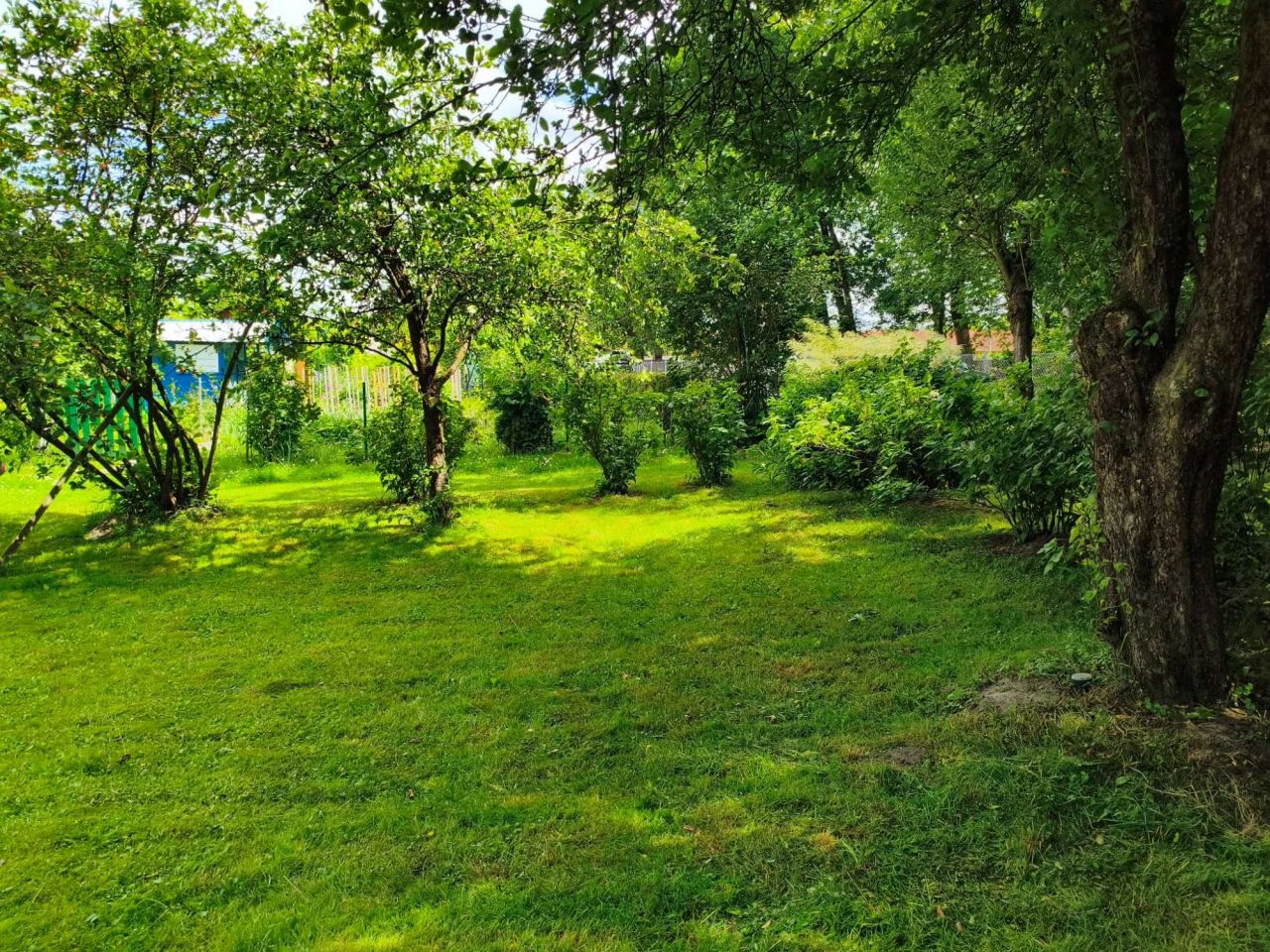 Działka rod Rzeszów Miłocin, ul. Laurowa. Zdjęcie 3