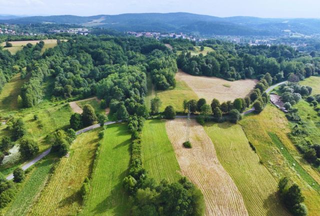 Działka rolna Jankowce. Zdjęcie 3