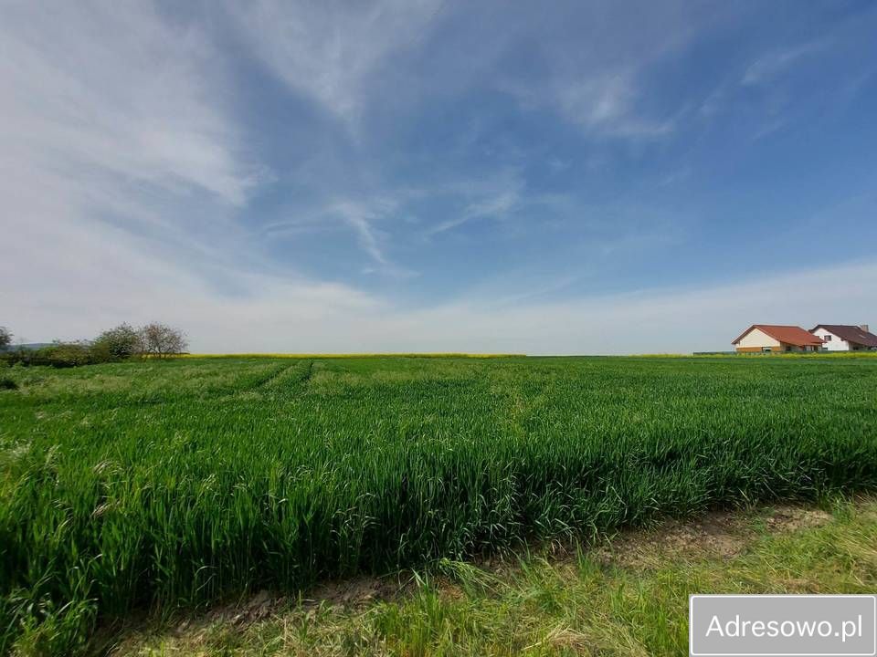 Działka budowlana Paszowice. Zdjęcie 3