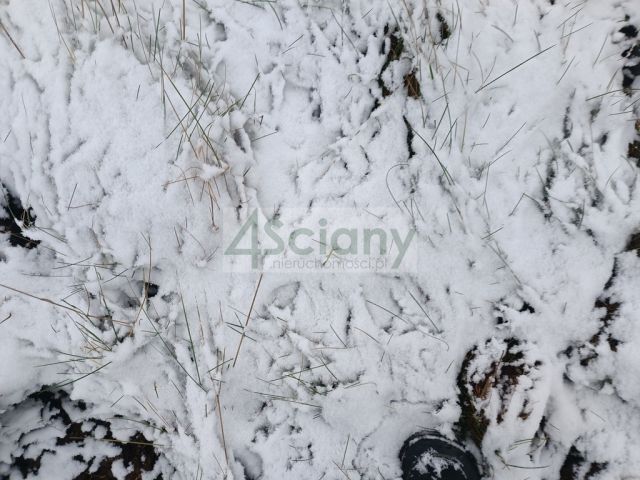 Działka budowlana Warszawa Białołęka. Zdjęcie 13