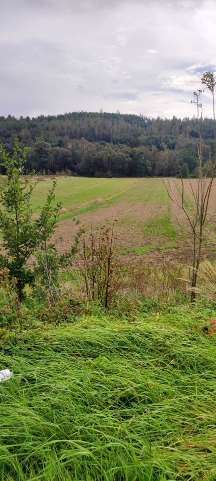 Działka rolna Kielnarowa. Zdjęcie 2
