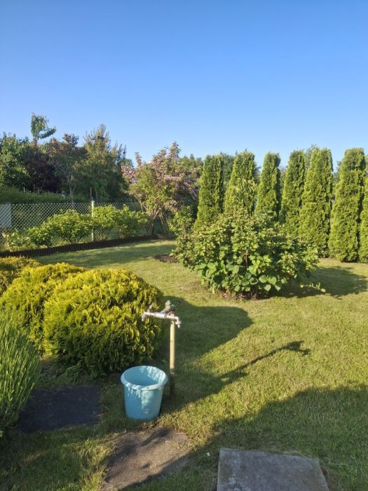 Działka rod Gdynia Oksywie, ul. Stanisława Żółkiewskiego. Zdjęcie 5