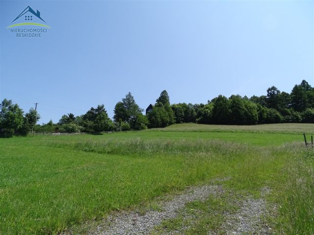 Działka rolno-budowlana Cisownica. Zdjęcie 4