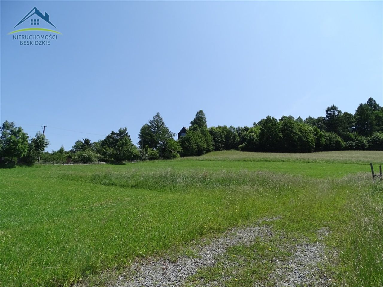 Działka rolno-budowlana Cisownica. Zdjęcie 4