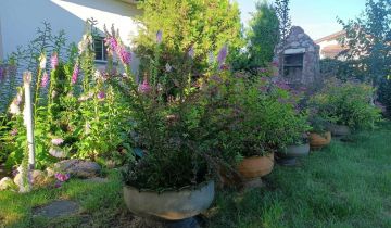 dom wolnostojący, 5 pokoi Pomarzany Fabryczne