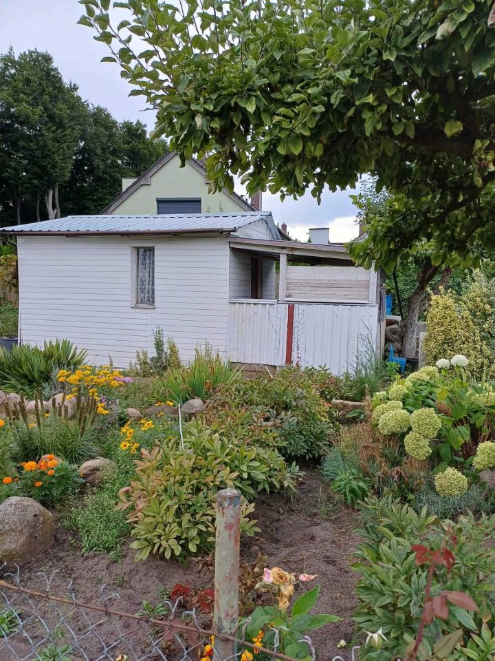 Działka rod Stargard, ul. Grunwaldzka. Zdjęcie 8