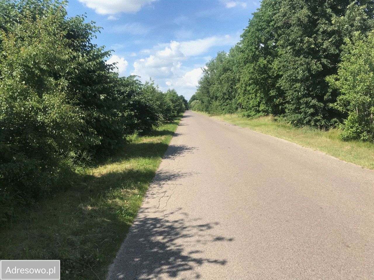 Działka budowlana Józefów, ul. Akacjowa. Zdjęcie 4