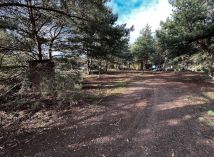 Działka inwestycyjna Gołuski. Zdjęcie 4