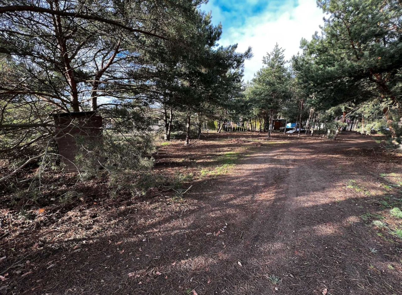 Działka inwestycyjna Gołuski. Zdjęcie 5