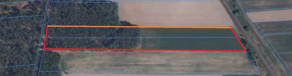 Działka rolna Chruśnice. Zdjęcie 5