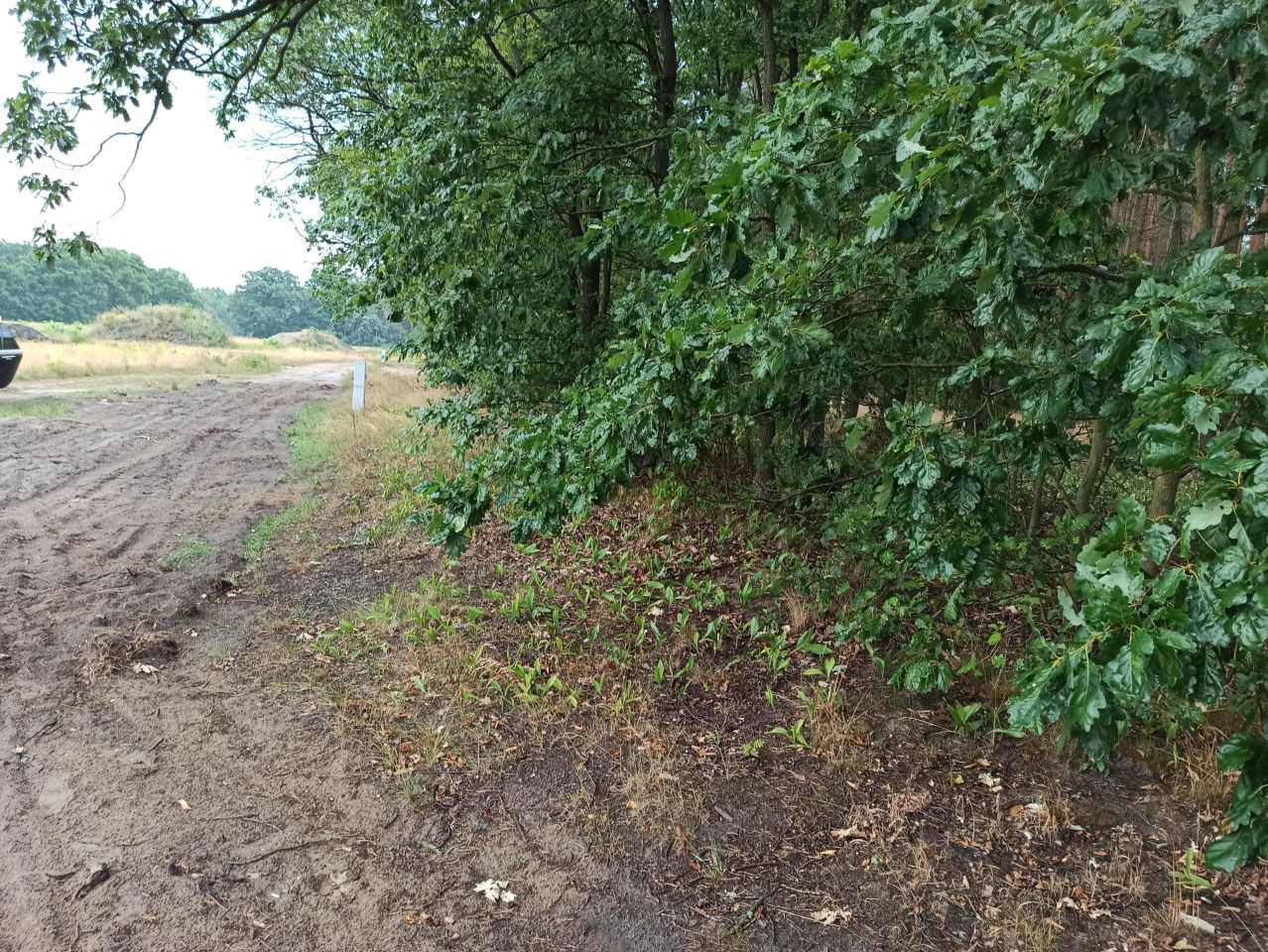 Działka budowlana Szczecin Zalom-Kasztanowe, ul. Topazowa. Zdjęcie 5