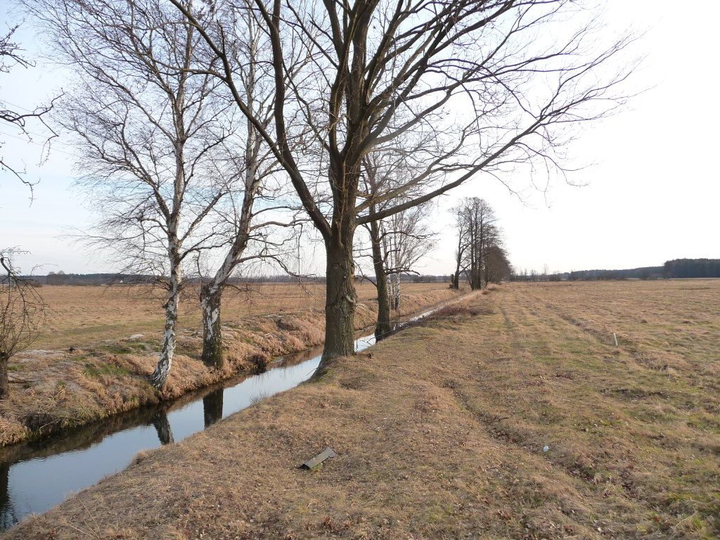 Działka rolna Lubsko. Zdjęcie 2