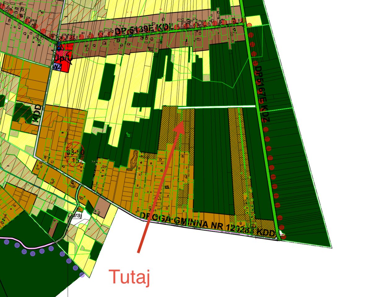 Działka leśna Orła. Zdjęcie 6