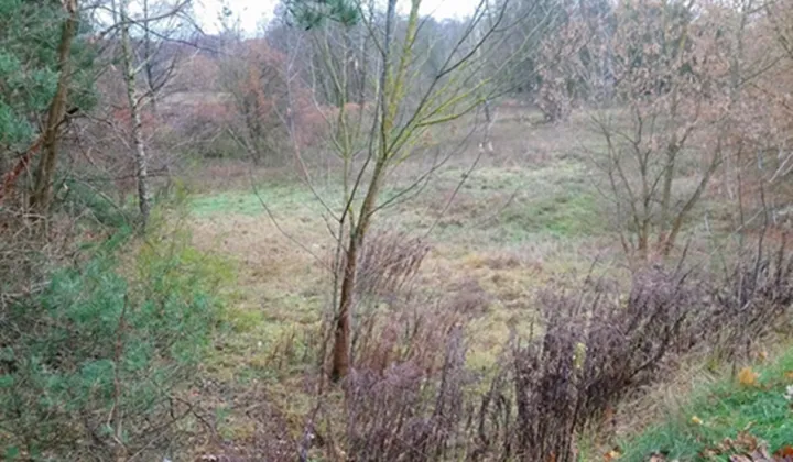 Działka rolna Ziewanice