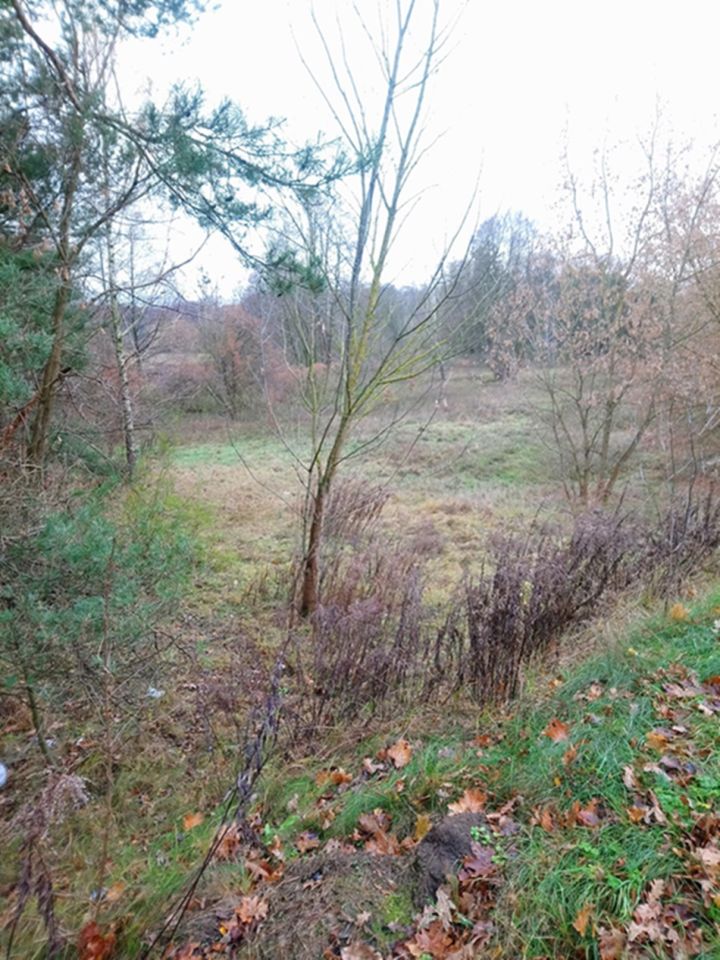 Działka inna Ziewanice. Zdjęcie 1