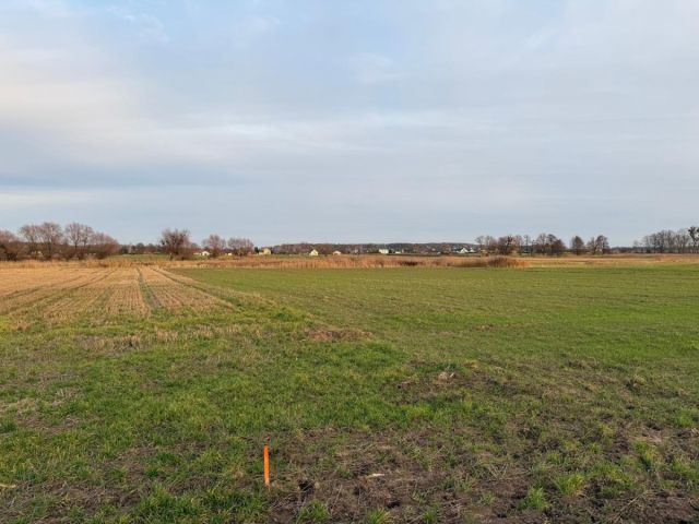 Działka rolna Oleśniczka. Zdjęcie 7