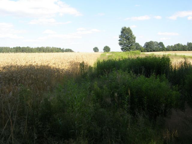 Działka rolna Łukawica. Zdjęcie 1
