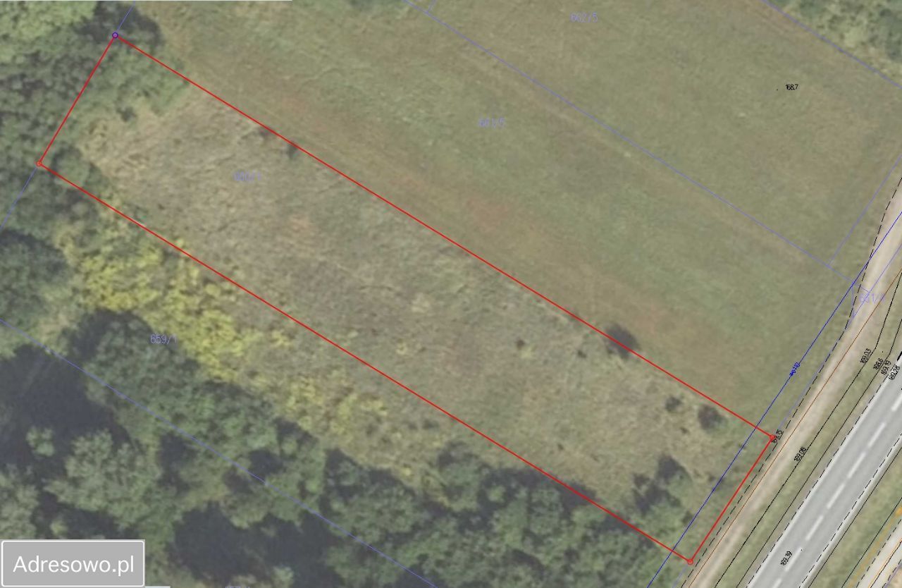 Działka inwestycyjna Dubiny. Zdjęcie 6