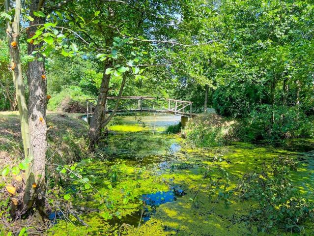 Działka budowlana Boguszków. Zdjęcie 1